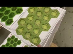 7000s/H Speed Automatic Die Cutting Machine 600T Carton Box Corrugated Embossing