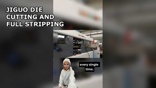 जिगुओ (पूर्ण स्ट्रिपिंग) स्वचालित डाई कटिंग और स्ट्रिपिंग मशीन