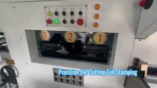 JIGUO TMY-800H स्वचालित डाई कटिंग और फ़ॉइल स्टैम्पिंग मशीन